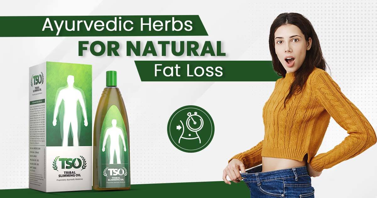 Ayurvedic Herbs for Natural Fat Loss