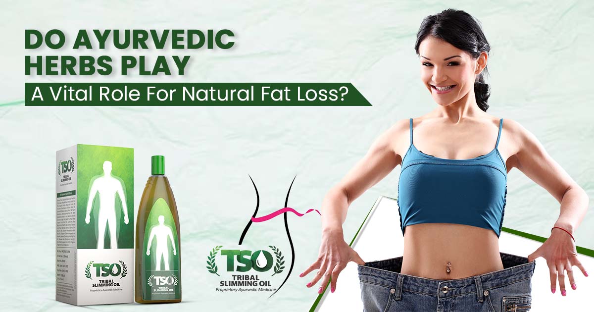 Do Ayurvedic Herbs Play A Vital Role For Natural Fat Loss?